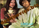 Aina (1977) Original Poster - www.desimovies.biz