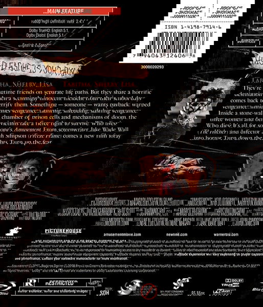 Amusement (2008) Blu-ray - www.desimovies.biz