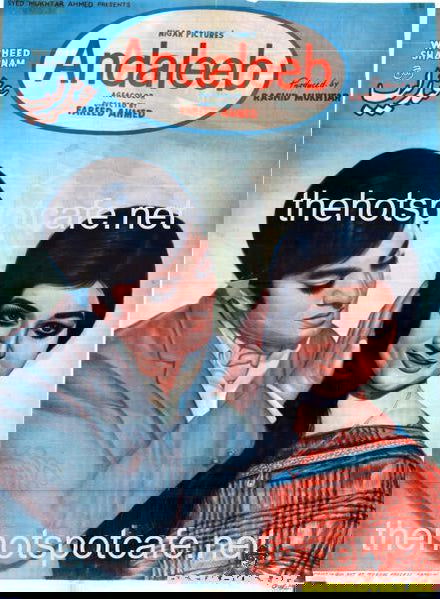 Andaleeb (1969) - www.desimovies.biz