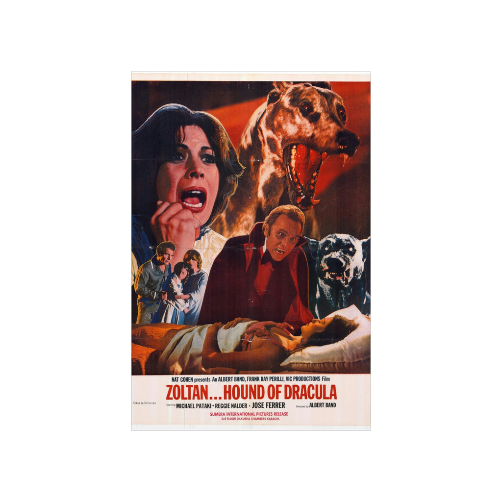 Zoltan Hound of Dracula Pakistani - Premium Matte Vertical Posters - www.desimovies.biz