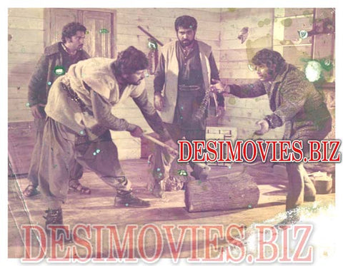 Jahan Baraf Girti Hay (1972) Movie Still 3 - www.desimovies.biz
