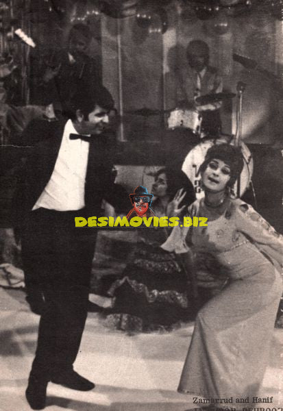 Lollywood Stars