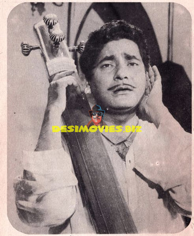 Lollywood Stars
