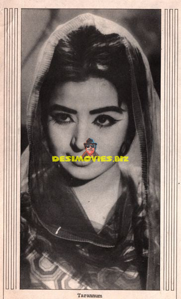 Lollywood Stars