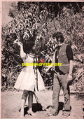Lollywood Stars