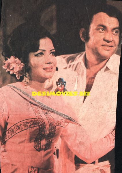 Lollywood Stars