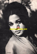 Lollywood Stars