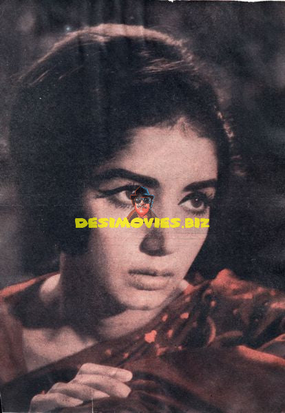 Lollywood Stars