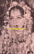 Lollywood Stars