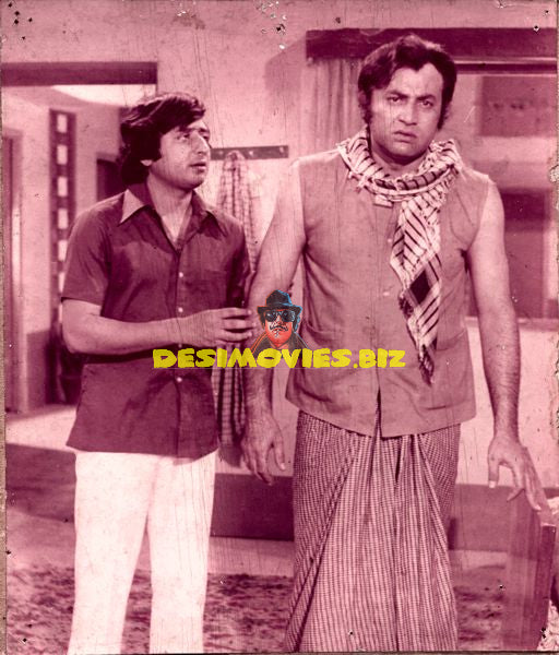 Lollywood Stars