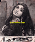 Lollywood Stars