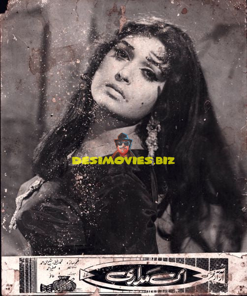 Lollywood Stars