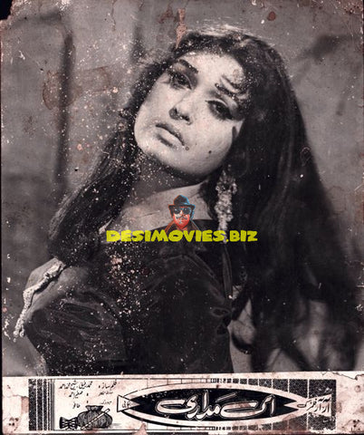 Lollywood Stars