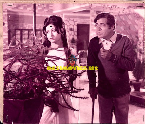 Lollywood Stars