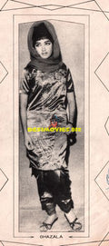 Lollywood Stars