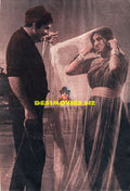 Lollywood Stars