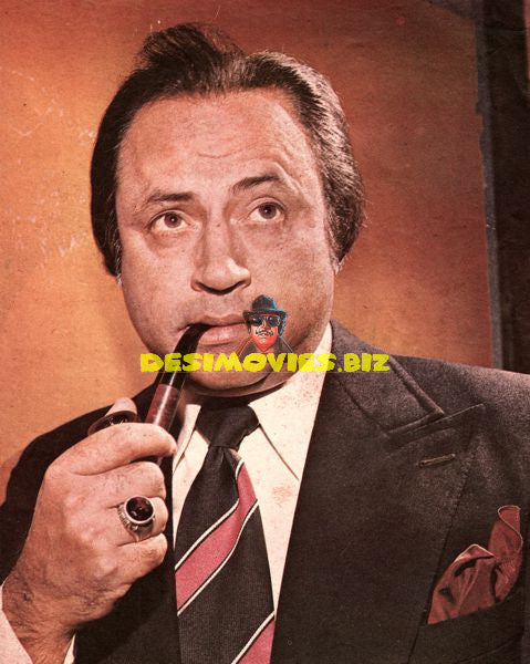 Lollywood Stars