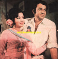 Lollywood Stars