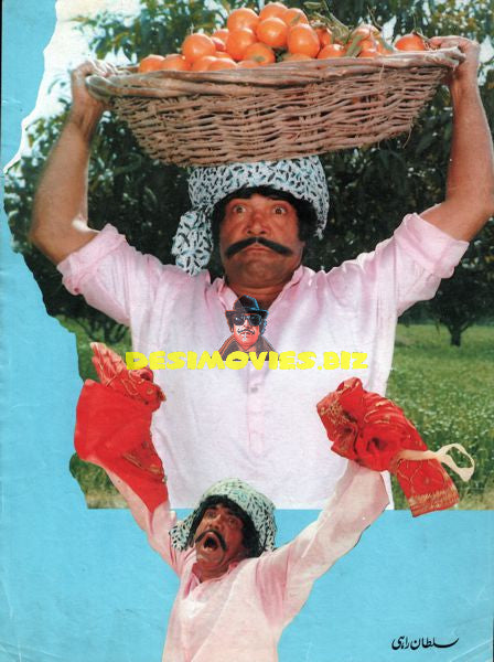 Lollywood Stars