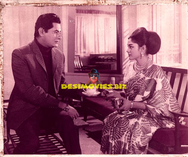 Lollywood Stars