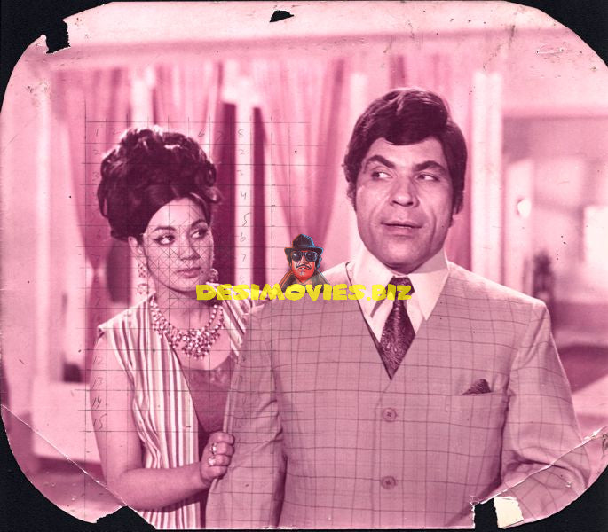 Lollywood Stars