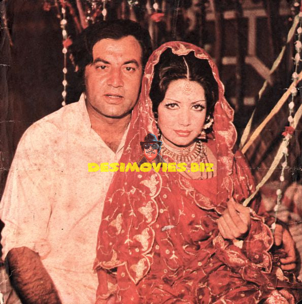 Lollywood Stars