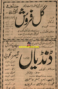 Gulfarosh & Dandiyan (1968) Adverts - www.desimovies.biz
