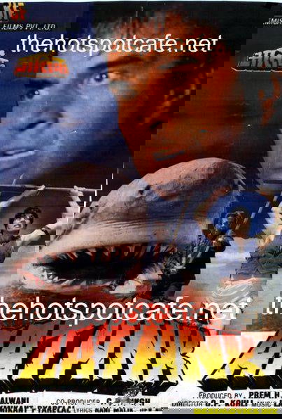 Aatank  (1996) - www.desimovies.biz