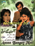 Ansoo Ban Gaye Moti (1970) - www.desimovies.biz