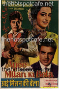 Ayee Milan Ki Bela (1964) - www.desimovies.biz