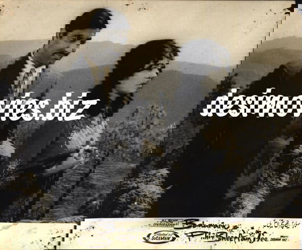 Baharen Phir Bhi Ayiengee (1969) Movie Still 3 - www.desimovies.biz