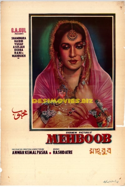 Mehboob (1962) Original Poster - www.desimovies.biz