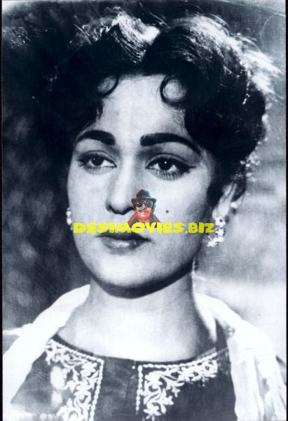 Lollywood Stars