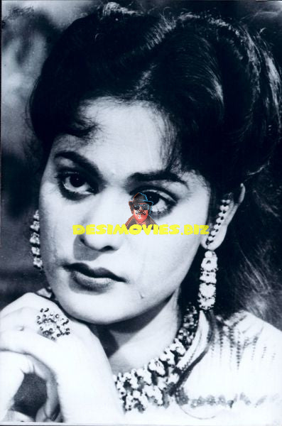 Lollywood Stars