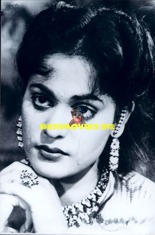 Lollywood Stars