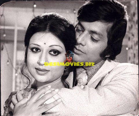 Lollywood Stars