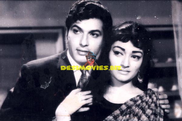 Lollywood Stars
