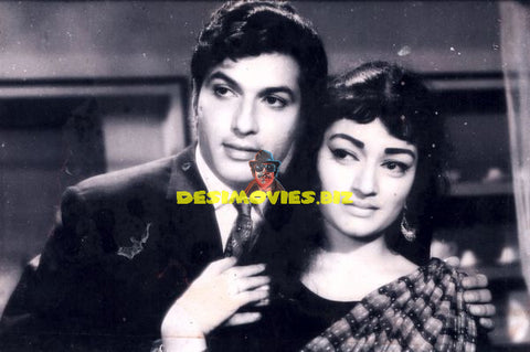 Lollywood Stars