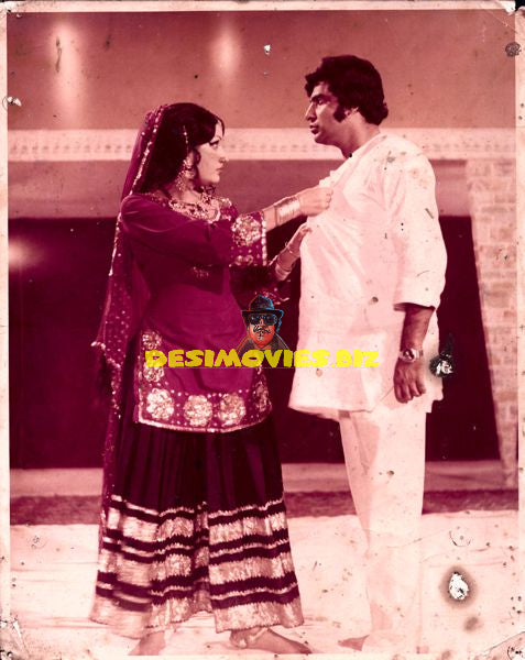 Lollywood Stars