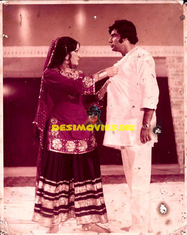 Lollywood Stars