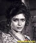 Lollywood Stars