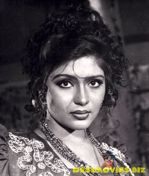 Lollywood Stars