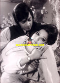 Lollywood Stars