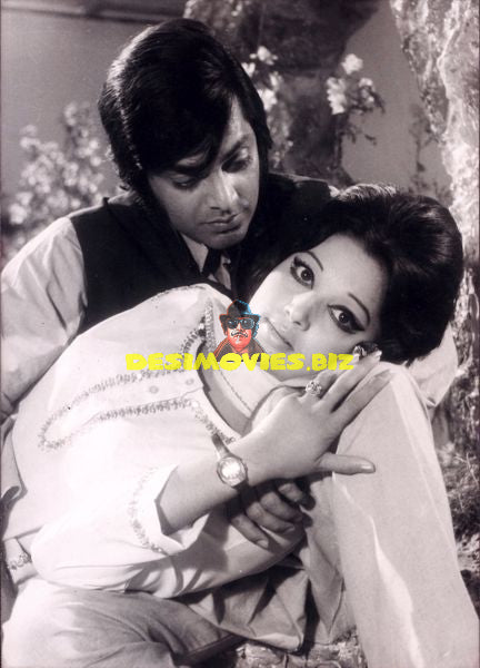 Lollywood Stars