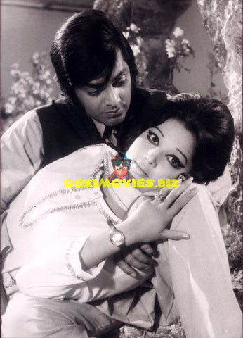 Lollywood Stars
