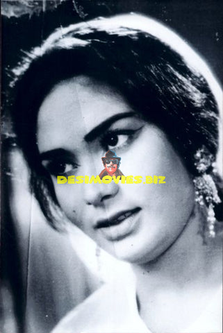 Lollywood Stars
