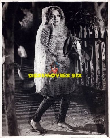 Lollywood Stars