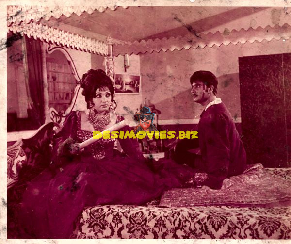 Lollywood Stars