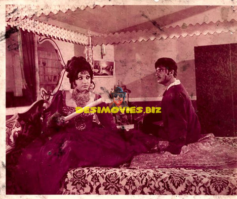 Lollywood Stars