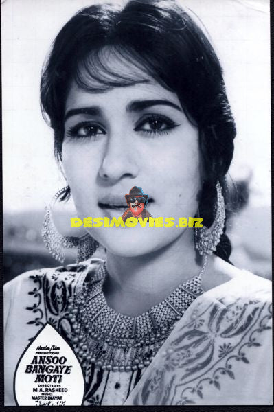 Lollywood Stars